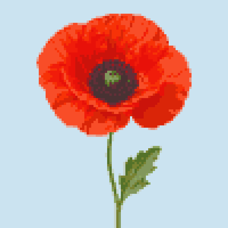 Actual red poppy pattern with 100 by 100 stitches and 17 DMC colors